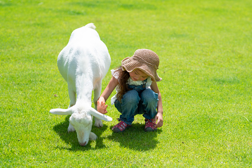 Girl touching the goat