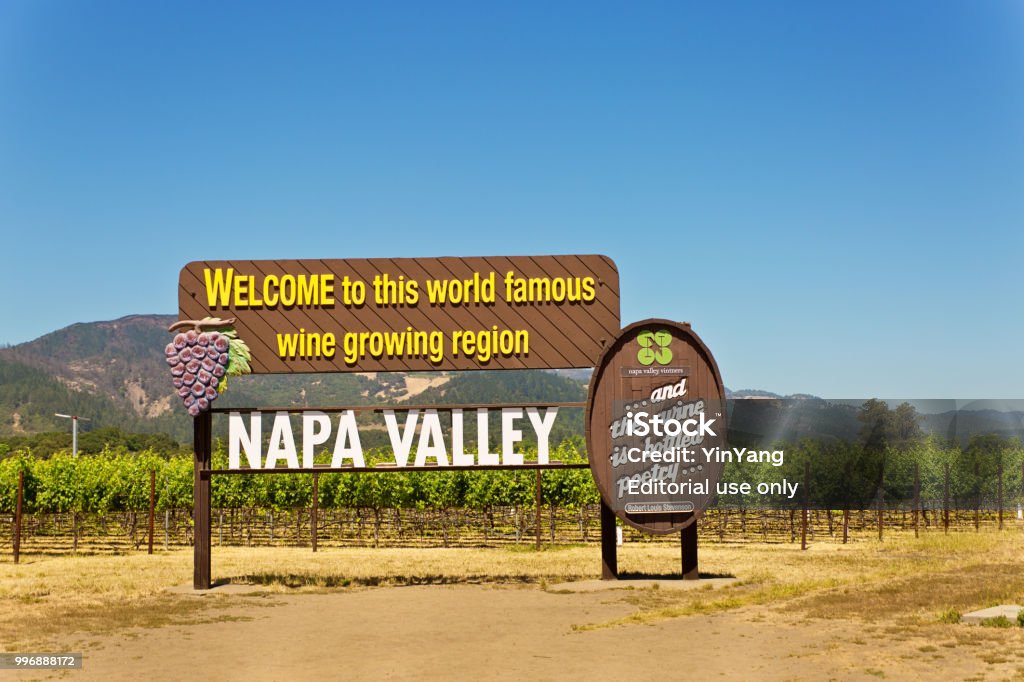 캘리포니아 나파 밸리 포도 원 관광도로 표지판 와인에 대한 스톡 사진 및 기타 이미지 - 와인, 0명, 경관 - Istock