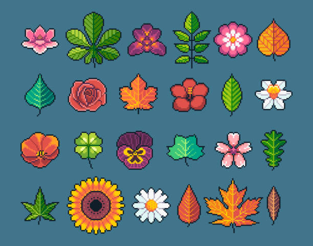 illustrations, cliparts, dessins animés et icônes de snes feuilles et fleurs vectoriels ensemble d’icônes. - beech leaf illustrations