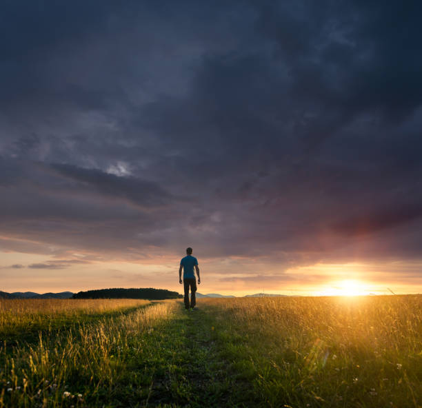 istock Man standing on field during majestic sunset 996902570