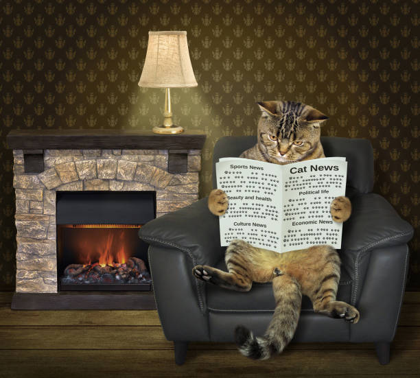Cat reading a newspaper at home The cat is sitting in the leather armchair and reading a newspaper near a fireplace. fireplace and armchair stock pictures, royalty-free photos & images