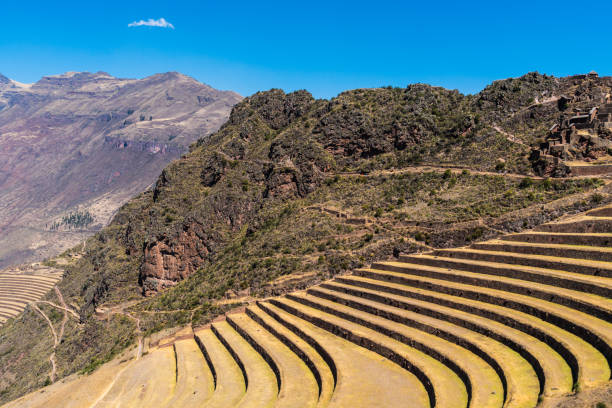 istock Inca's terraces in Pisac, Sacred Valley, Peru 996904186