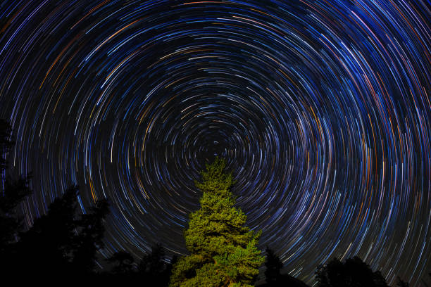 istock Circular Star Trails Over Pine Tree. Concept Night Sky Astrophotography 996907024