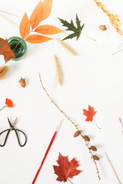 istock Autumn composition background. Flat lay, top view creative minimal mock up template.  Top view. Copy space 996917558