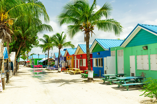 Casas de colores en la isla tropical de Barbados photo