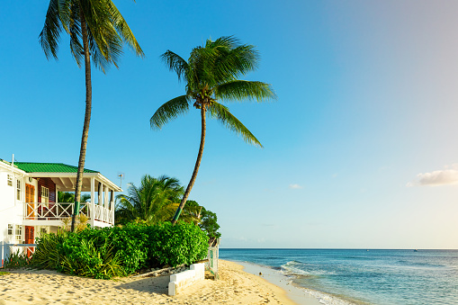 Beachfront living on the tropical island of Barbados, the Caribbean
