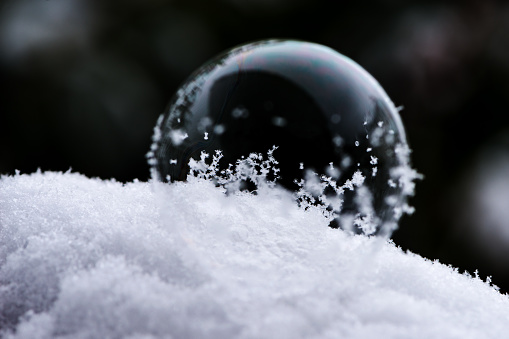 a snow-covered stone with a frozen soap bubble in winter