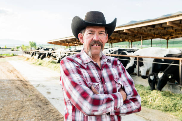 istock American farmer portrait with cattle 996966040