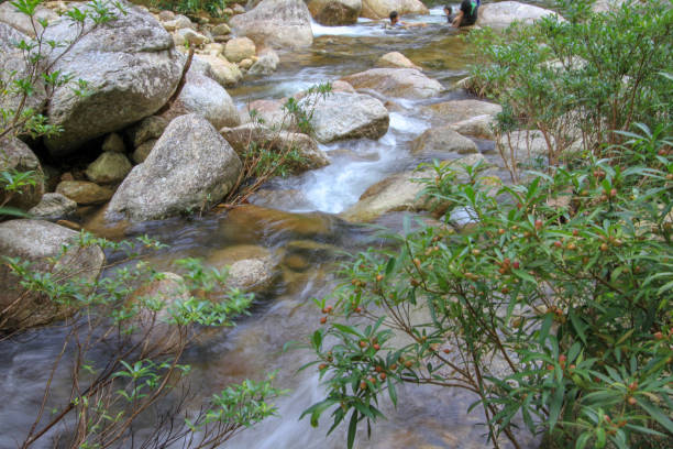 istock Rock and waterfall in north of Thailand 996966726