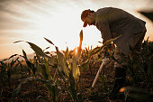 istock Farmer works on his field 996971494