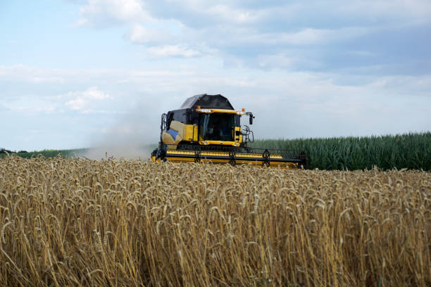 istock With modern machines, working in agriculture 996975178