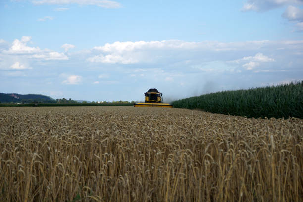 istock With modern machines, working in agriculture 996980798