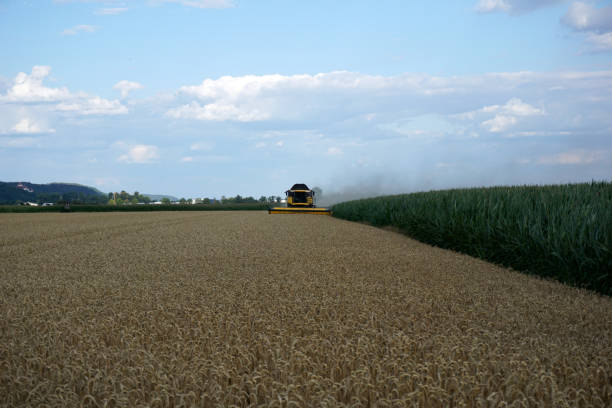 istock With modern machines, working in agriculture 996983864
