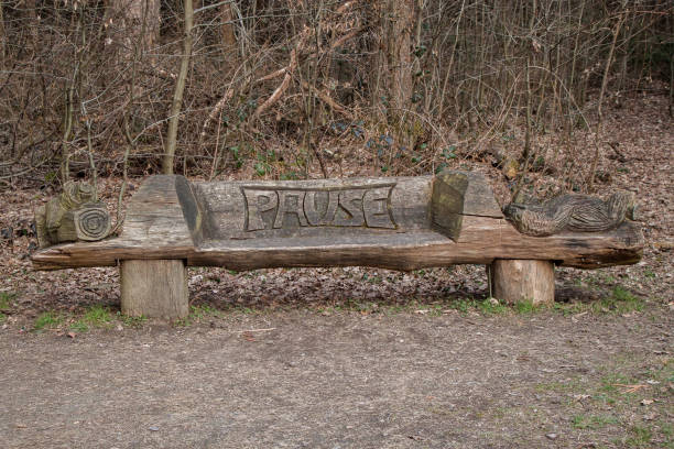 Wooden seat carved from the trunk of a tree in woodland