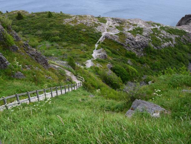 istock staircase hiking path Signal Hill 996988702