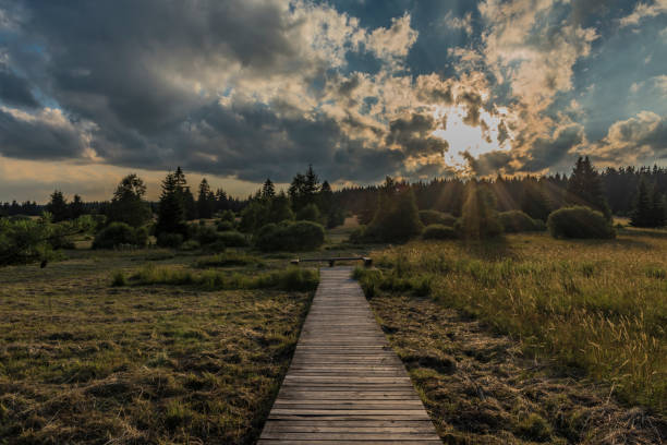 istock Slavkovsky les mountains in summer sunset time 996989488