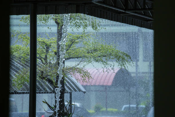 istock Rain outside and green tree on the roof 996991342
