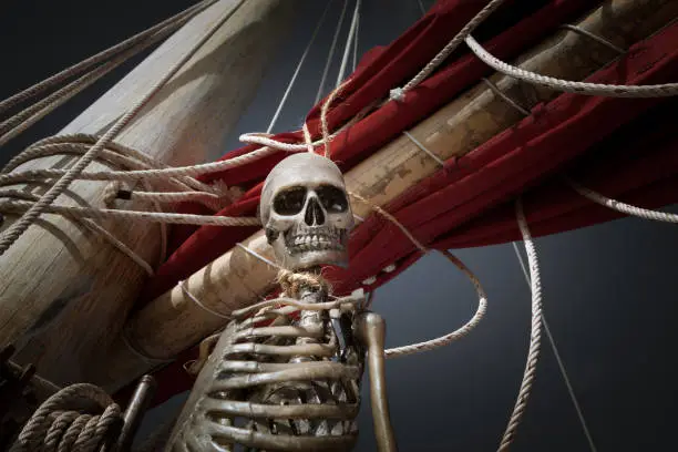 close up view of  human skeleton hanging out in dark  sky environment