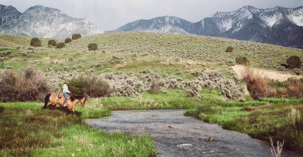 cowgirl auf einem pferd - horse panoramic scenics prairie stock-fotos und bilder