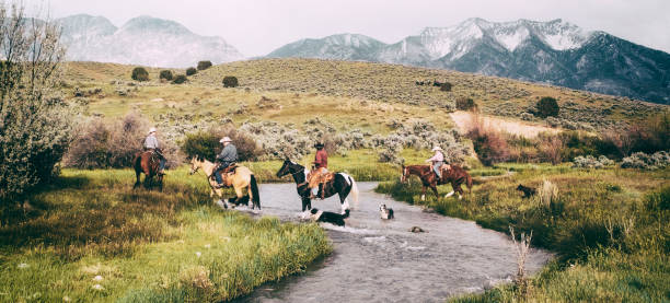 cowboys und cowgirls auf pferden - horse panoramic scenics prairie stock-fotos und bilder