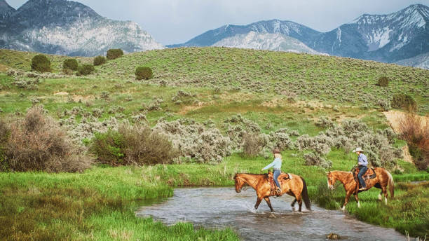 istock Cowgirl on a Horse 997000520