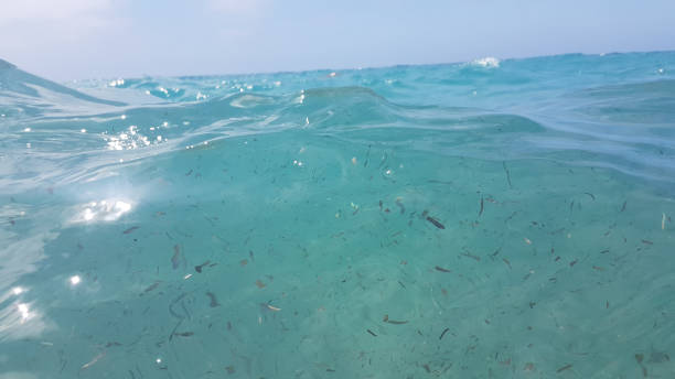 istock sea surface waves diving blue sea mediteranean for background 997006090