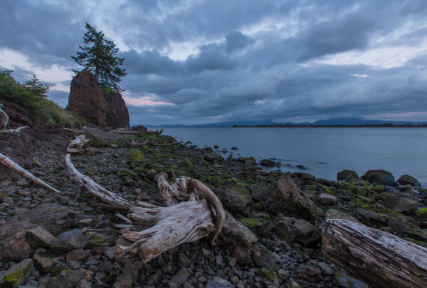 istock View of columbia river, washington state 997008734