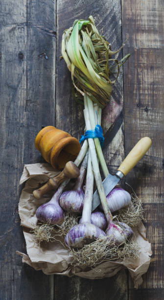 istock Bunch of garlic with kitchenware on wooden background. Top view. 997017660