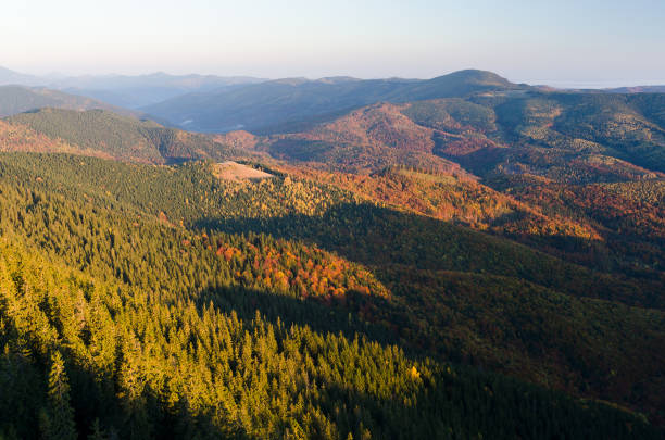Autumn landscape with a beautiful forest on the mountain hills. Sunny day. Carpathians, Ukraine, Europe