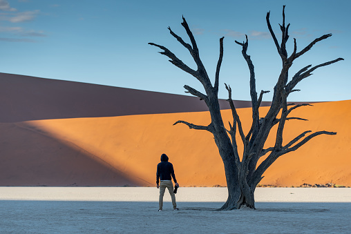 Young male photographer and traveler standing with dead tree in deadvlei (Sossusvlei) during sunrise, famous natural landmark in Namib desert of Namibia, Africa