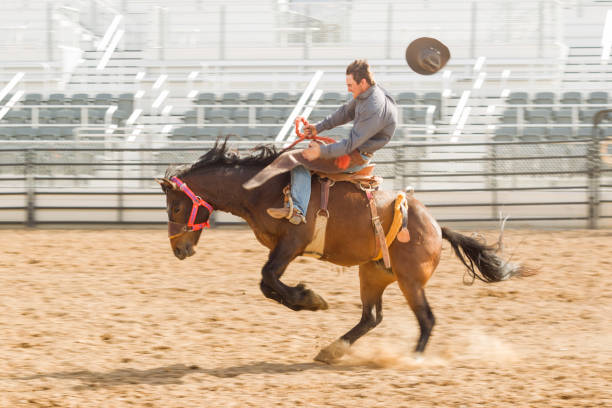 cowboy at wild horse riding competition at  rodeo paddock arena at nephi of Salt lake City SLC Utah USA cowboy at wild horse riding competition at  rodeo paddock arena at nephi of Salt lake City SLC Utah USA spanish fork utah stock pictures, royalty-free photos & images