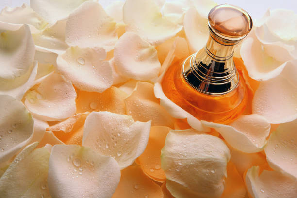The bottle of flower perfume with a large peony on the lid stands on a table with many peony petals around. Blue blur background with small white flowers