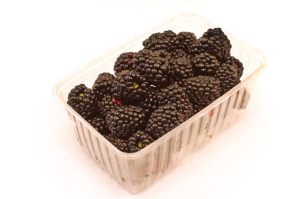 istock Blackberry fruit in plastic bowl isolated on white 997028528