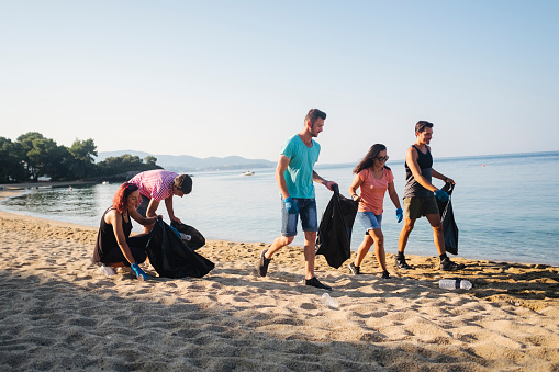 Group of friends collecting trash on beach early in the morning.