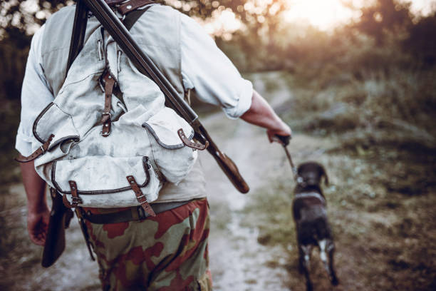 istock Pointer Dog Leading Hunter Close To Bird Prey 997060934