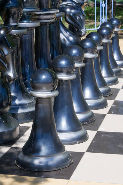 istock Texture, background. Background. BIG chess in the park 997063146