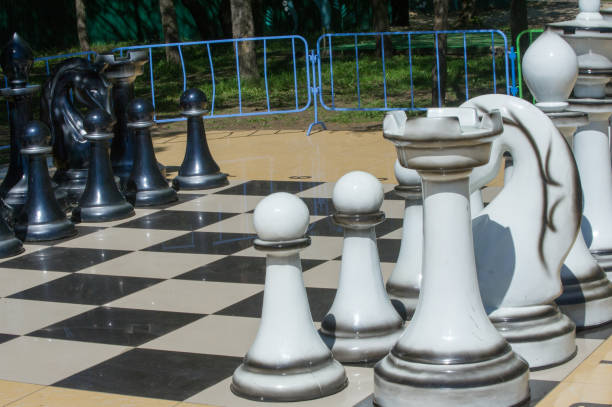 istock Texture, background. Background. BIG chess in the park 997063160