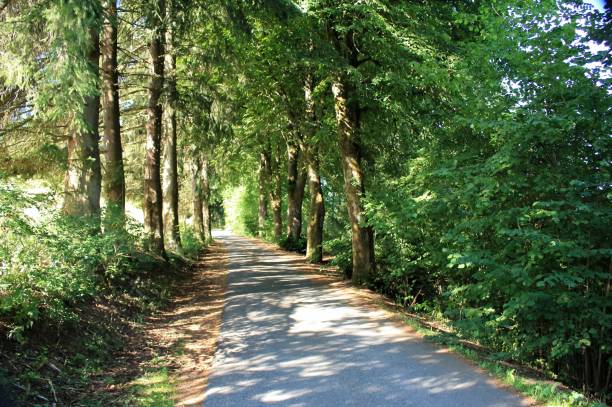 istock Light and shadow on the country road 997070670
