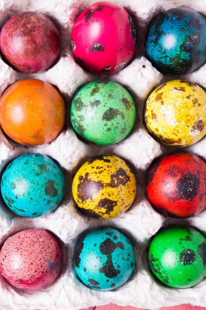 Colorful quail eggs texture background Color quail eggs on the paper container with top view proteína stock pictures, royalty-free photos & images