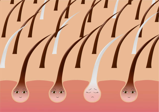 Skin Pigmentation 4 Free Vectors To Download Freevectors