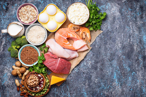 Healthy food high in protein Healthy food high in protein. Meat, fish, dairy products, nuts and beans atkins diet stock pictures, royalty-free photos & images