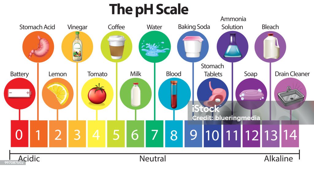 The Science pH Scale The Science pH Scale illustration pH value stock vector