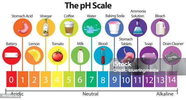 The Science Ph Scale Stock Illustration - Download Image Now - pH value, Scale, Alkaline