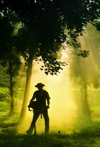istock People cutting grass with brush cutter outdoor 997093402
