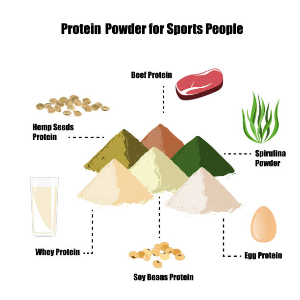 ilustraciones, imágenes clip art, dibujos animados e iconos de stock de proteína en polvo conjunto de infografía - protein concentrate