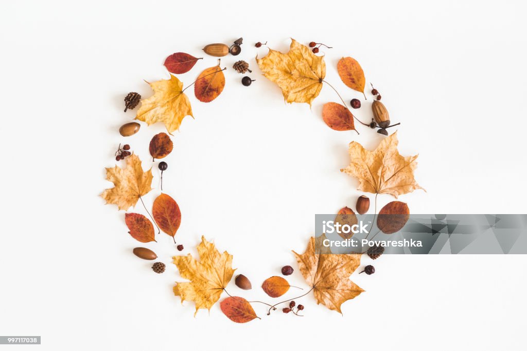 秋の乾燥葉、果実、ドングリ。フラット横たわっていた、トップ ビュー - 秋のロイヤリティフリーストックフォト
