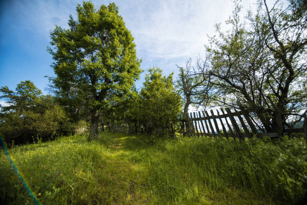 istock Countryside backyard and wooden fence. 997121116