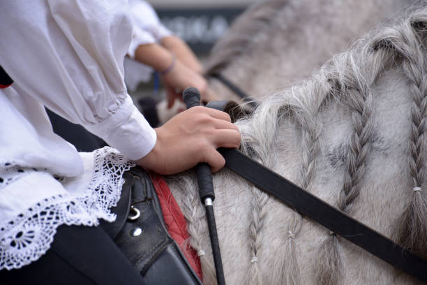 istock Riding horse enjoyment 997137132