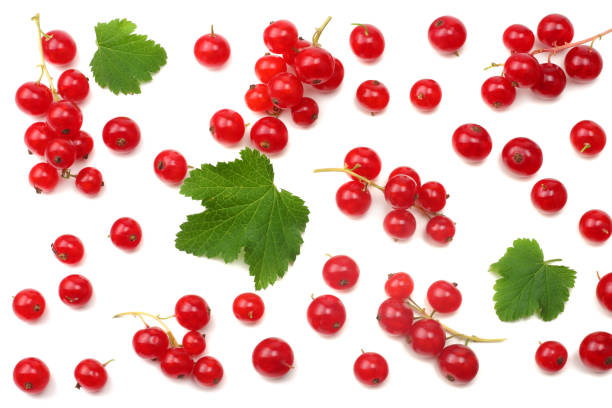 白い背景に分離した緑の葉と赤スグリ。健康食品。トップ ビュー - currant red currant red fruit ストックフォトと画像