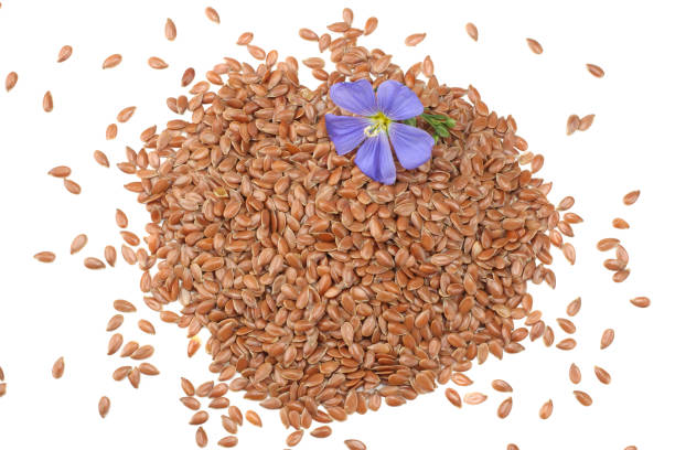 istock flax seeds with flower isolated on white background. flaxseed or linseed. Cereals. top view 997138262